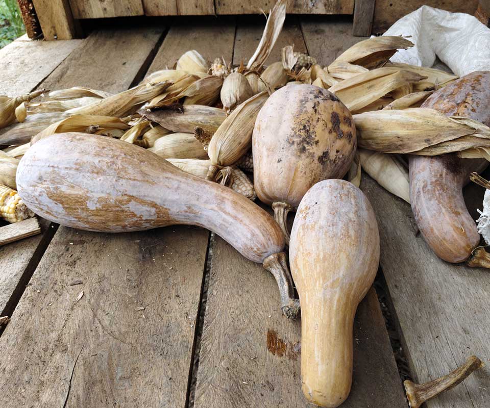 Agricultural products documented through field data collection