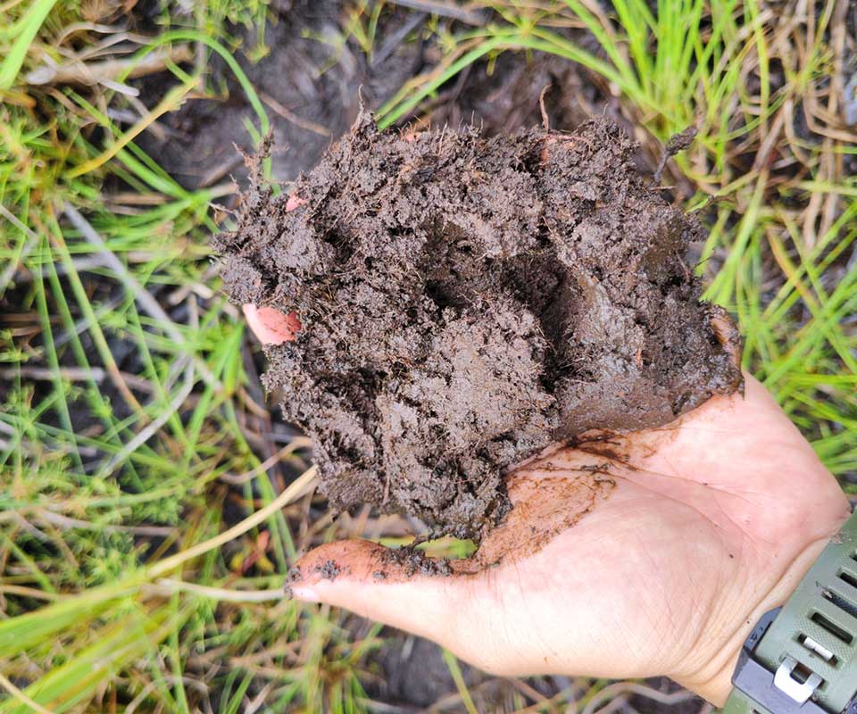 Documentation of soil characteristics derived from field data collection