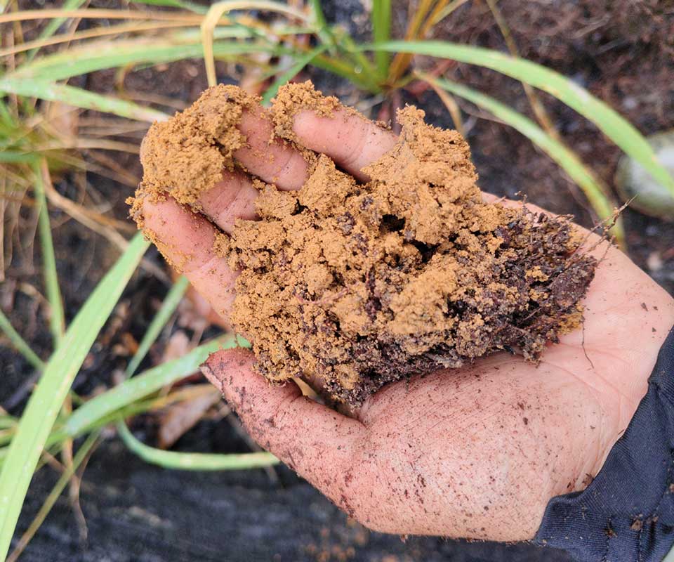 Documentation of soil characteristics derived from field data collection