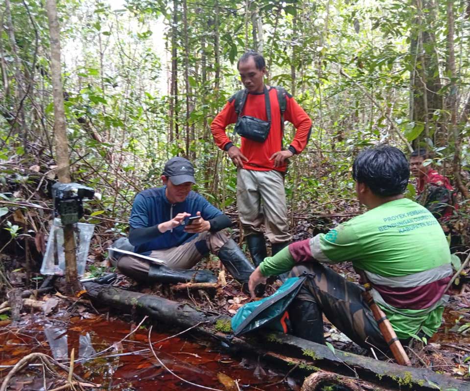 Installation of camera traps