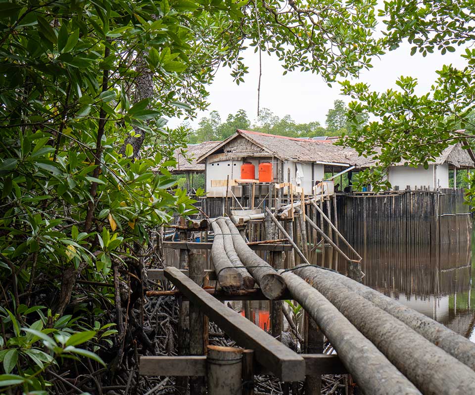 cover-Independent-Monitoring-of-CSR-Programmes