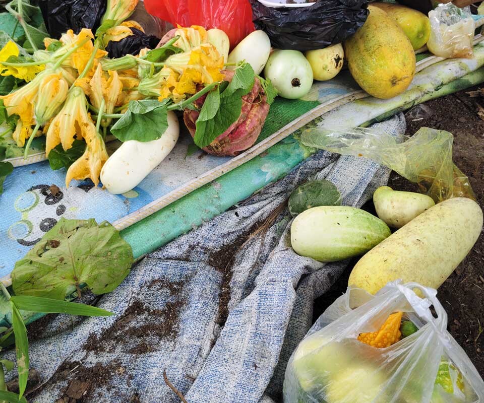 Agricultural products documented through field data collection