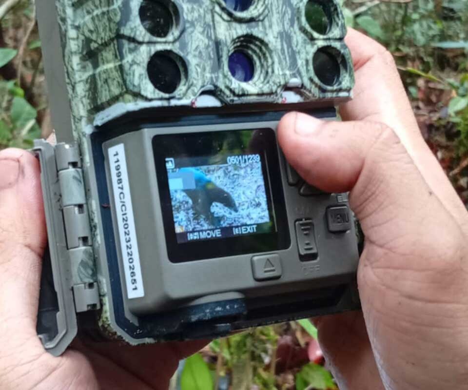 Pengecekan dan peninjauan data hasil rekaman kamera jebak