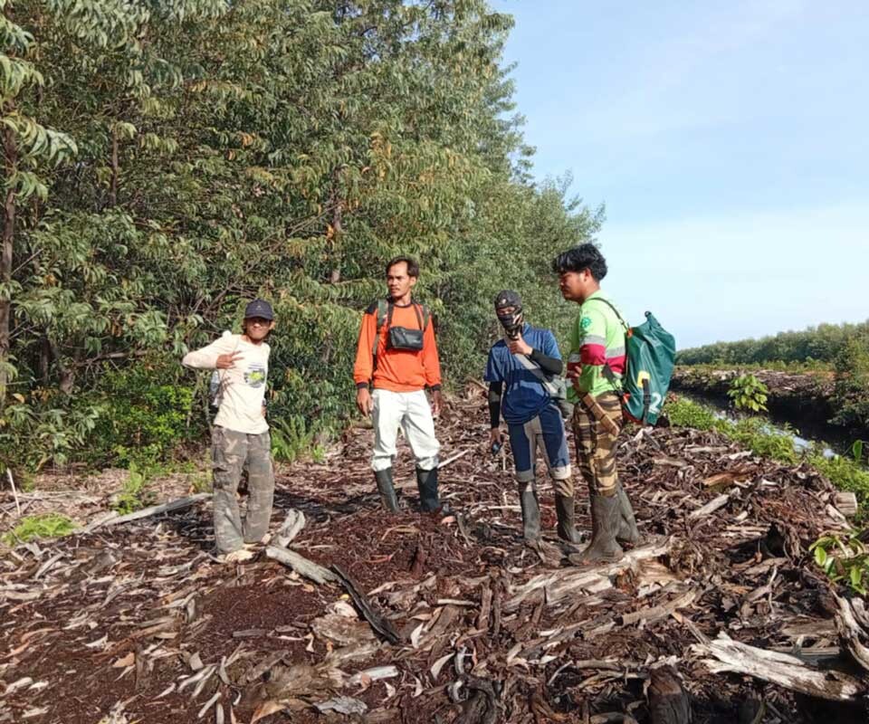Tim Survei Mendawak