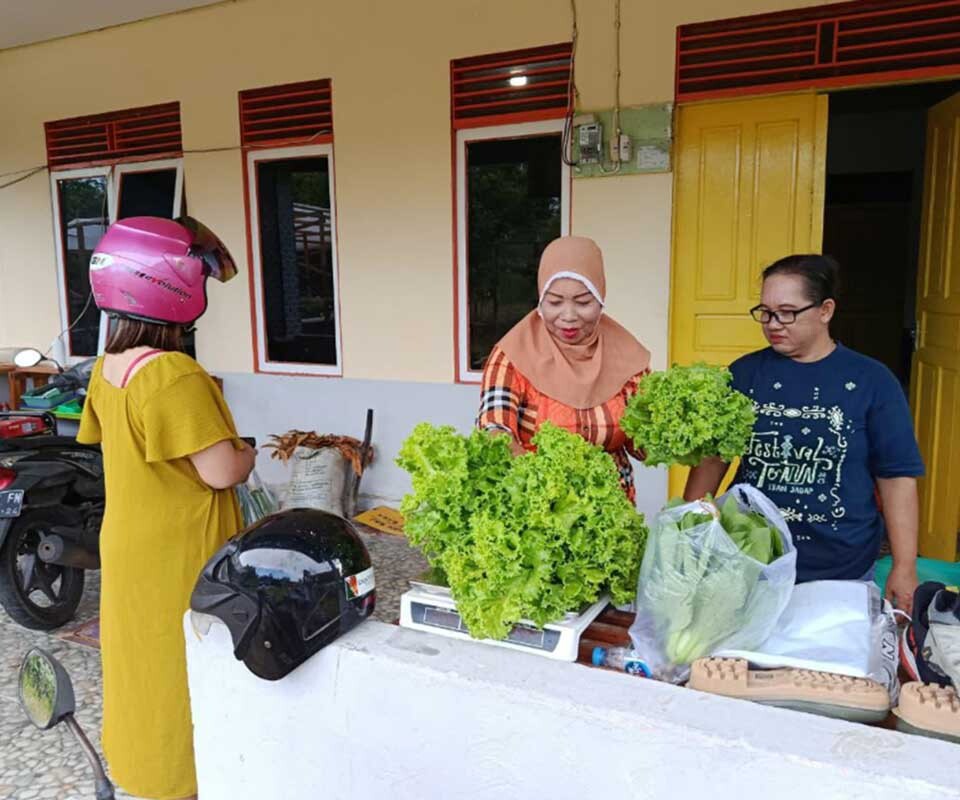 Sale of hydroponic vegetables produced at the Bentarum hydroponic demonstration plot