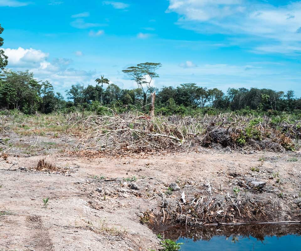 Bentang Alam Model Pengelolaan Terpadu